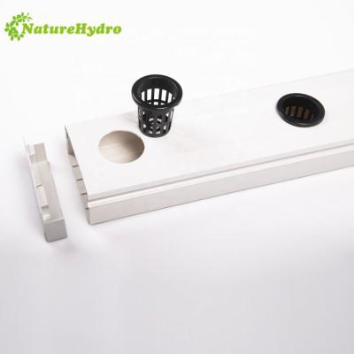 China Greenhouse Hydroponics System PVC Nft Channel System Hydroponics Planting System for sale