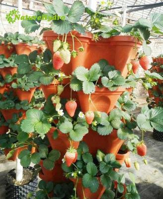 China Eco-friendly Garden 3petals 4 Petals Tower Vertical Garden Stacking Pots Planters For Strawberry for sale