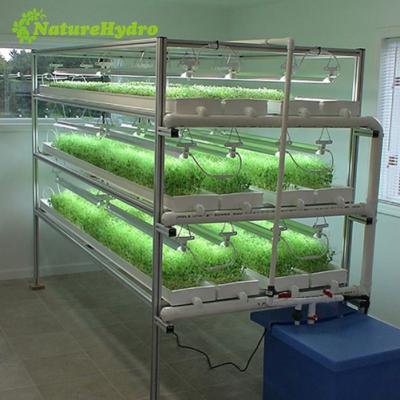 China Complete PVC Fodder Solutions Hydroponic System Microgreen Grow Tray for sale