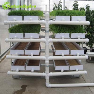 China PVC Hydroponics Barley Fodder Trays Animal Grass Hydroponic Machine for sale