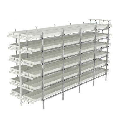 China PVC automatic hydroponic fodder tray vertical microgreem system for sale