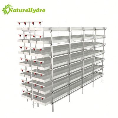 China Easy Growing Complete Hydroponic Forage Raising System For Livestock for sale