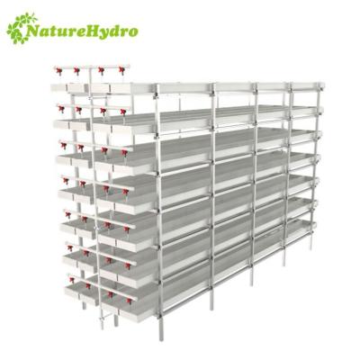 China Large Easy Growing Fodder Grow Trays Hydroponic Fodder System For Animal Feeding for sale