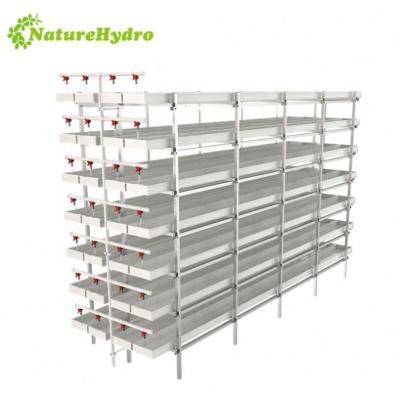 China Hydroponic microgreen / fodder easy growing to grow system for greenhouse for sale