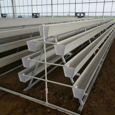 China Planting Vegetables Greenhouse Strawberry Vertical Hydroponic Gutter Growing System for sale