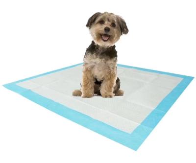 China Stored Disposable Super Absorption Pet Pad Dog Urine Puppy Training Pad With High Quality for sale