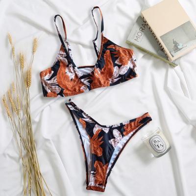 China New Popular Halter Beach Wear Plus Size Thong Bikini Top Set Two Piece Set Sexy Elegant Anti-UV Young Girls New for sale