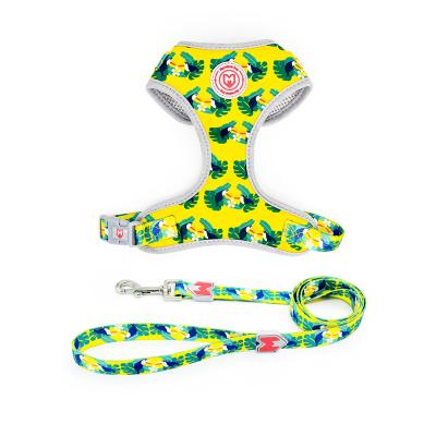 China Fashion Print Polyester Detachable Breathable Pet Harness Colorful Dog Harness And Leash Set for sale