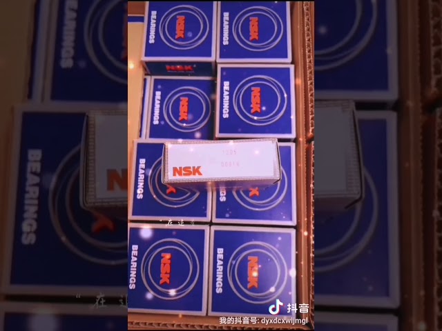 NSK Angular Contact Ball Bearing 7204 7205 7206 7207 7208 7209 C/AC/CTYNSULP4