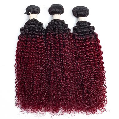 China Hot Selling Curly Curly Indian Hair from India Two Tone Curly Curly Hair for sale