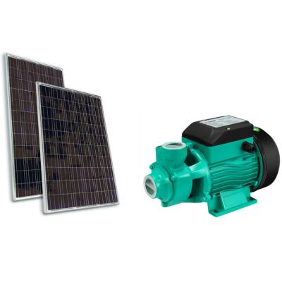 China Solar Powered Solar Powered Outdoor Pump DQB LSWQB LSQB SQBL2-30-24-0.25 Agriculture Irrigation Water Pump Small Water Pump for sale