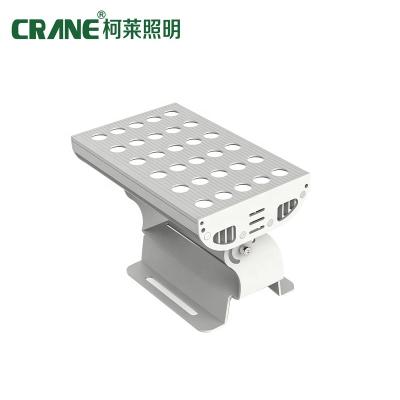 China Bridges OEM Outdoor DMX512 DC24v RGBW Led Flood Light 36W/30W Custom Wholesale Waterproof Led Flood Light for sale