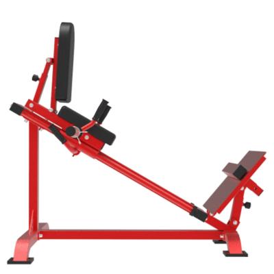 China Fashion Home Use Design Professional Fitness Equipment 45 Degree Leg Press Machine for sale