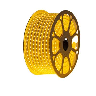 China LANDSCAPE High brightness outdoor 220v 100meter per roll waterproof smd2835 high voltage strip led for sale