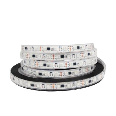 China High quality flexible 2835 chip accessible white led strip directly 12v 24v 5m garden IC from factory for sale