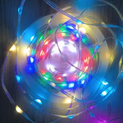 China Flexible Garden DC5v 10meter 100leds IC Chip 2835 Digital Addressable Christmas RGB Led String for sale