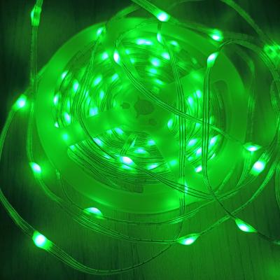 China Bestselling Garden Decoration Flexible Digital Light DC5v 10meter 100leds RGB Christmas Led Train String Light for sale