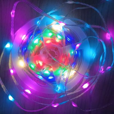 China Waterproof Garden Christmas Tree 100m Digital Accessible RGB 5v Led Strip Light USB Powered Led Strip for sale