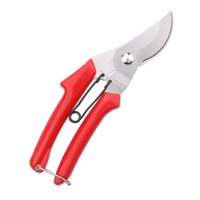 China Anti-skid Pruning Scissors Stainless Steel Handle Bonsai Gardening Flower Shears Large Diameter Fruit Thick Branches And Shears for sale