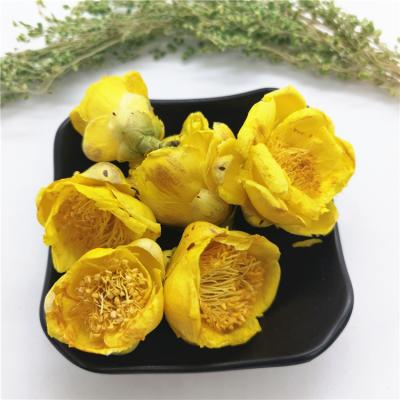 China Loose Tea Jin Hua Cha Natural Pure Flower Tea Camellia Flower Camellia Chrysantha Golden Tea for sale