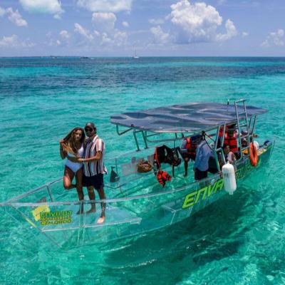 China Sea - River - Lake - Ocean 15 people Marine Catamaran transparent boat sightseeing Passenger Ferry Boat for resort for sale