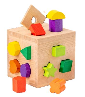 China Wooden Toy Wooden 17-Hole Intelligence Box Gift NO-22 First Grade Child Boy Safety Infant Intelligent Education for sale