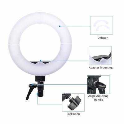 China 60W/80W Live Stream Dimmable Led Ring Light For Beauty Facial Shoot for sale