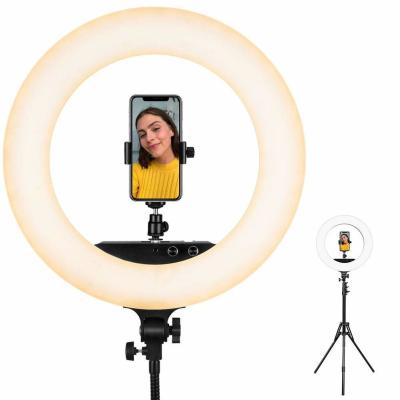 China Adjustable Color Bright Dimmable Led Ring Light With Stand Phone Holder for sale