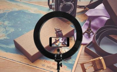 China Makeup Live Show Dimmable Led Ring Light For Most Smartphone And Camera for sale