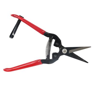 China Anti-skid Handle Hot Sales Garden Pruning Scissors Shears Garden Shears for sale