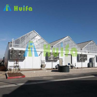 China 100% Blackout Huifa China Multi-Span Greenhouse PC Sheet Light Deprivation Blackout Greenhouse for sale