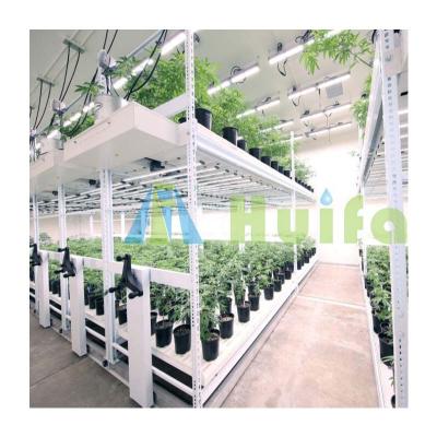 China Agriculture Stable Crib Huifa Structure Tray Growing Rolling Benches For Planting for sale