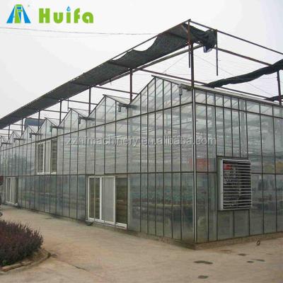 China Low Cost Multi-span Agricultural Greenhouse Commercial Greenhouse for sale