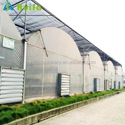 China Vegetables Multi-span Greenhouse Commercial Film Plastic Greenhouse for sale