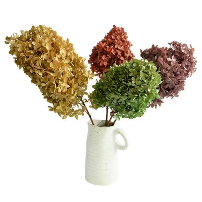 China German Manufacturer Supply Most Selling Products Lobby Decor Home Flower Preserved Hydrangea Stem 60cm for sale