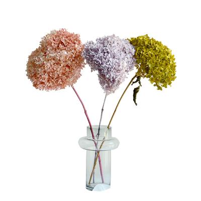 China Events Decoration French-German Country Lobby Decor Wedding Home Centerpieces Forever Preserved Real Hydrangea for sale