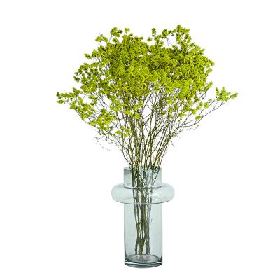 China Durable Preserved Flowers and Plants from Decoraive Kunming Plant Supply Home Floral Decoration Accessories for sale