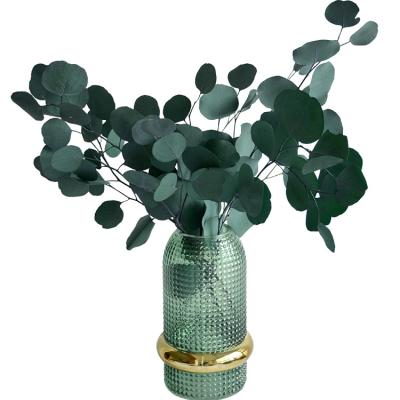 China Home Preserved Eucalyptus Leaves Christmas Wedding Family Decorations Manufacturer Supply Office Decoration Wholesale New Style Trend for sale