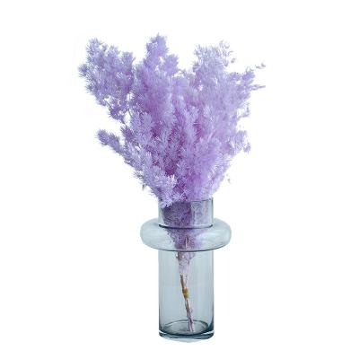 China Hign Indoor Outdoor Grade Decorative Home Decor Preserved Flower Arrangements Asparagus Myriocladus Decorative Dried Flowers and Plants for sale