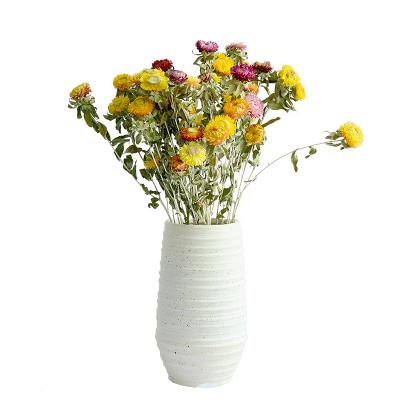 China Wholesale Home Decorative Helichrysum Home Wedding Supplies Florist Festival Decoration Natural Dry Flowers and Plants for sale