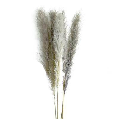 China Wedding Flower Arrangements World's Best Decoration Centerpieces Sale Wedding Favors Shape White Dried Pampas Grass for sale