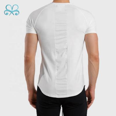 China Anti-Shrink Free Tax Wear Sport Fitness Men's Gym Mesh Summer White T-Shirt for sale