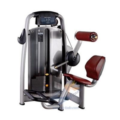 China 2021 Hot Selling Bodybuilding Good Quality Fitness Gym Equipment Back Extension Machine for sale