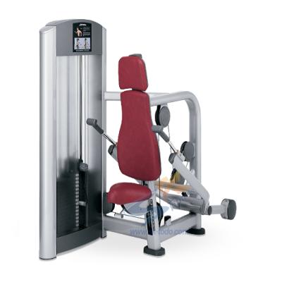 China High Quality Commercial Bodybuilding Fitness Equipment Pin Loaded Triceps Dip Trainer Machine for sale