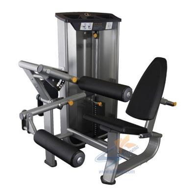 China Bodybuilding factory supply attractive price high quality bodybuilding strength fitness leg curl equipment posed machine for sale