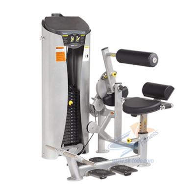 China Bodybuilding Commercial Premium Fitness Durable Material Training Equipment Abdominal And Lumbar Machine for sale