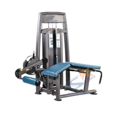 China Factory Wholesale Commercial Bodybuilding Gym Equipment Prone Leg Curl Machine Directly for sale