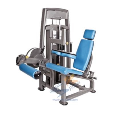 China 2021 Bodybuilding Latest Design Fitness Gym Leg Loop Equipment Seated Machine for sale