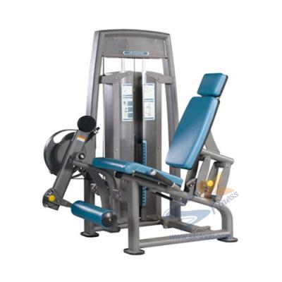 China High Quality Commercial Bodybuilding Use Strength Body Fit Seated Trainer Leg Extension Equipment for sale