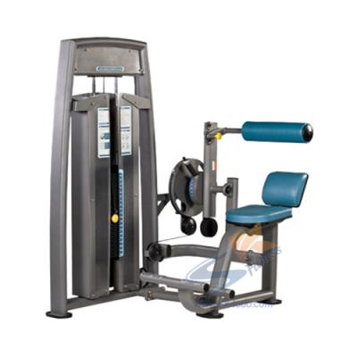 China Exercise bodybuilding factory supply good price fitness gym equipment abdominal and lower back machine for sale